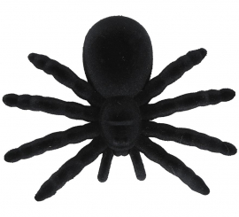 Blister 1 Spinne 14 cm