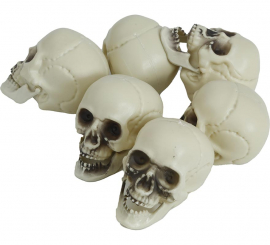 Bag of 6 Skulls of 6 cm