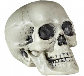 21cm PVC skull