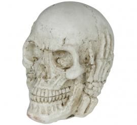 6cm Resin Skull