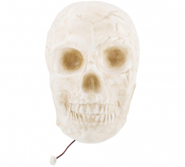 Large Skull with Light Large Skull with Light