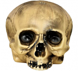 Skull without Chin 20 cm