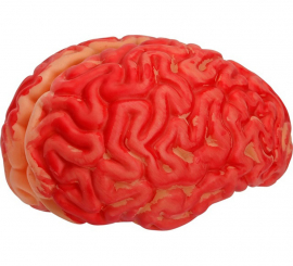 Bloody Brain