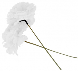 Sevillian or Chulapa White Carnation of 8 cm with 18 cm rod