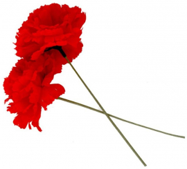 Sevillian Red Carnation or Chulapa of 8 cm with 18 cm rod