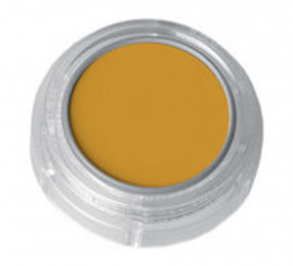 Concealer or Camouflage 2.5 ml D25 Yellow Ocher