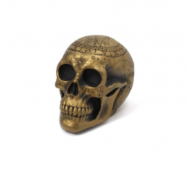 Fortune Teller Skull 20x14x14 cm