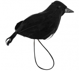 Raven with 15cm Shoulder Elastic