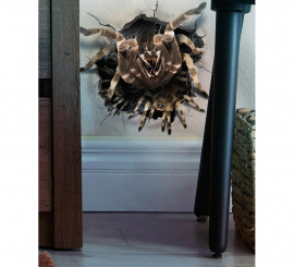 Spider Hole Wall Sticker Decoration 16x16 cm