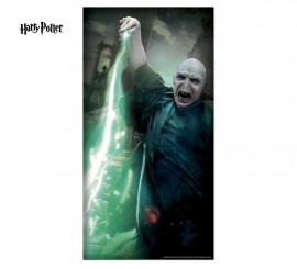 Lord Voldemort door decoration from Harry Potter