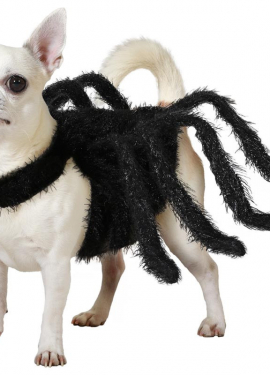 Furry Tarantula Spider Dog Costume