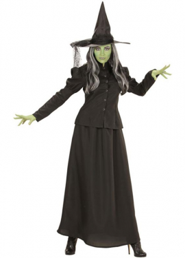 Women's Fairytale Witch Costume