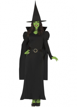 Fantastic Witch Costume for Women