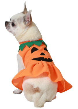 Halloween-Kürbis-Hundekostüm