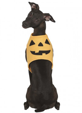 Gimnasio Sherlock Holmes candidato Disfraz de Calabaza Halloween para perro