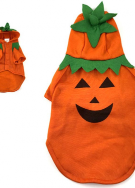 Pumpkin costume for dogs