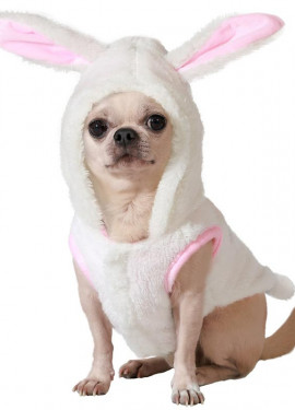 White bunny costume for dogs