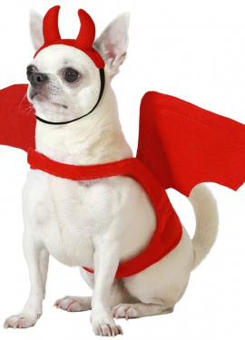 Winged Demon Costume with Horns for Dogs