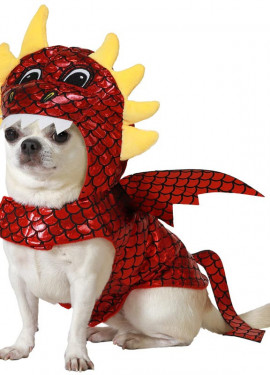 Red Dragon Dog Costume