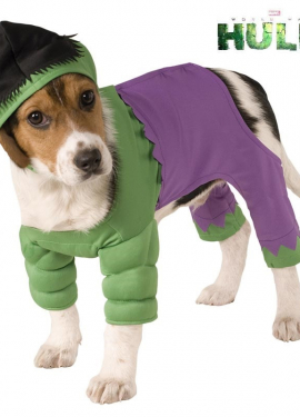 Hulk costume with hat for dogs