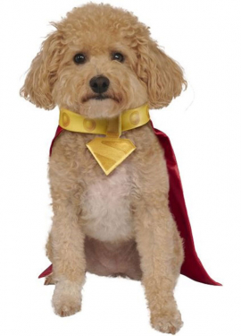 Krypto costume Superman for dogs