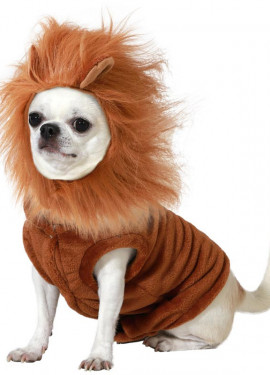 Lion costume for dogs