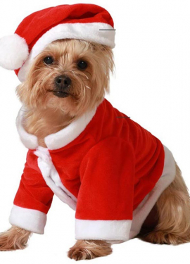 Classic red Santa Claus dog costume