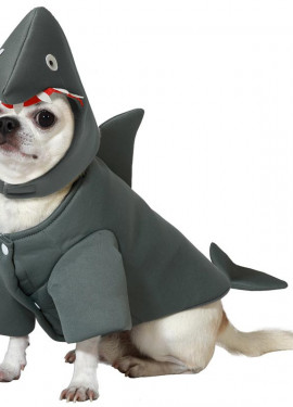 Shark costume for dogs