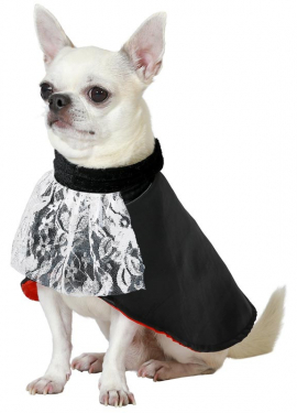 Vampire Dracula dog costume