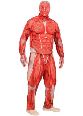 Disfraz Express de Anatómico con Músculos para hombre