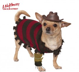 Disfraz Freddy de Pesadilla en Elm Street para perro
