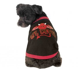 Disfraz Little Diablo para perro