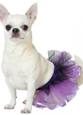 Purple dog costume or tutu