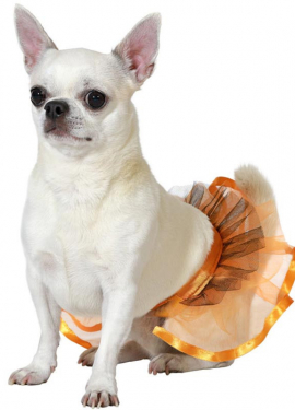 Orange dog costume or tutu