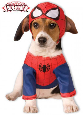 Traer Interactuar Tortuga Disfraz Spiderman para perro