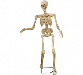 Animated Skeleton with Light, Sound and Motion Sensor 85x55x155