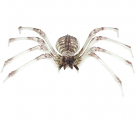 Spider Skeleton 85x35 cm