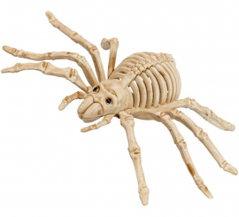 Esqueleto de aranha assustador de 24 cm Esqueleto de aranha assustador de 24 cm