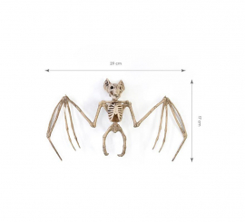 Beige Bat Skeleton 29x17 cm