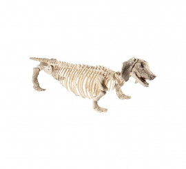 Víspera Tormenta tablero Esqueleto de Perro Salchicha 55x13x30cm