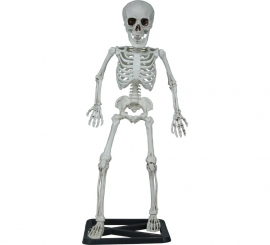 Esqueleto em pé de 55 cm