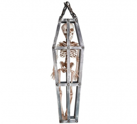 Esqueleto Enjaulado de 50 cm