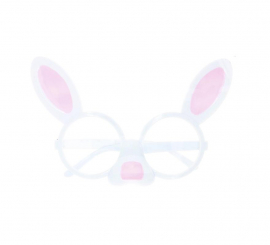 Rabbit glasses with nose