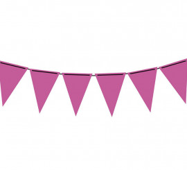 Neon Fuchsia Paper Pennant 300 cm 19X27 cm