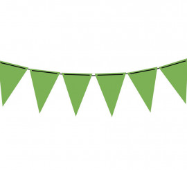 Neon Green Paper Pennant 300 cm 19X27 cm