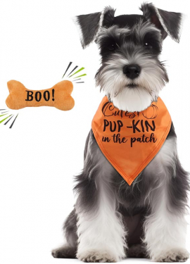 Dog Pumpkin Kit: Bandana and Bone