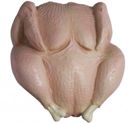 Plucked turkey or raw turkey mask