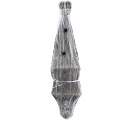 Mummy Hanging Upside Down