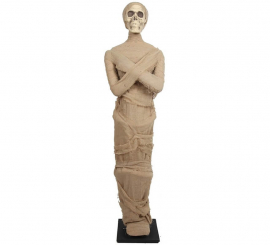 Standing mummy 157 x 47 cm