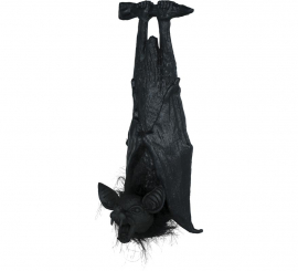 50 cm hängende Fledermaus